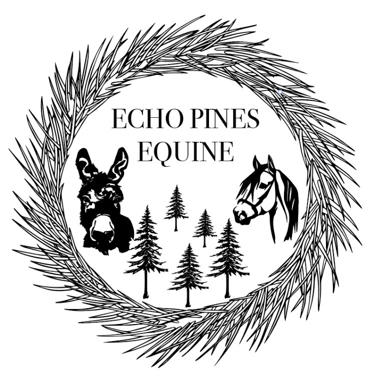Echo Pines Equine